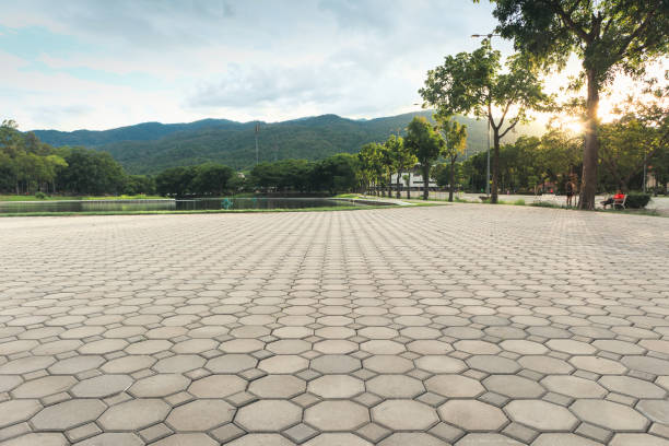 Best Driveway Pavers Near Me  in Montpelier, IN